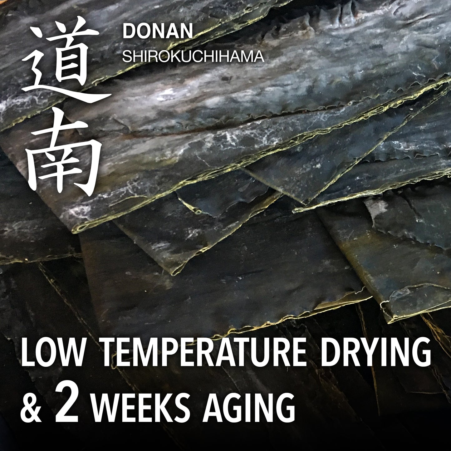 Kombu Salted 100g(3.5oz) - YAMASAN KYOTOUJI
