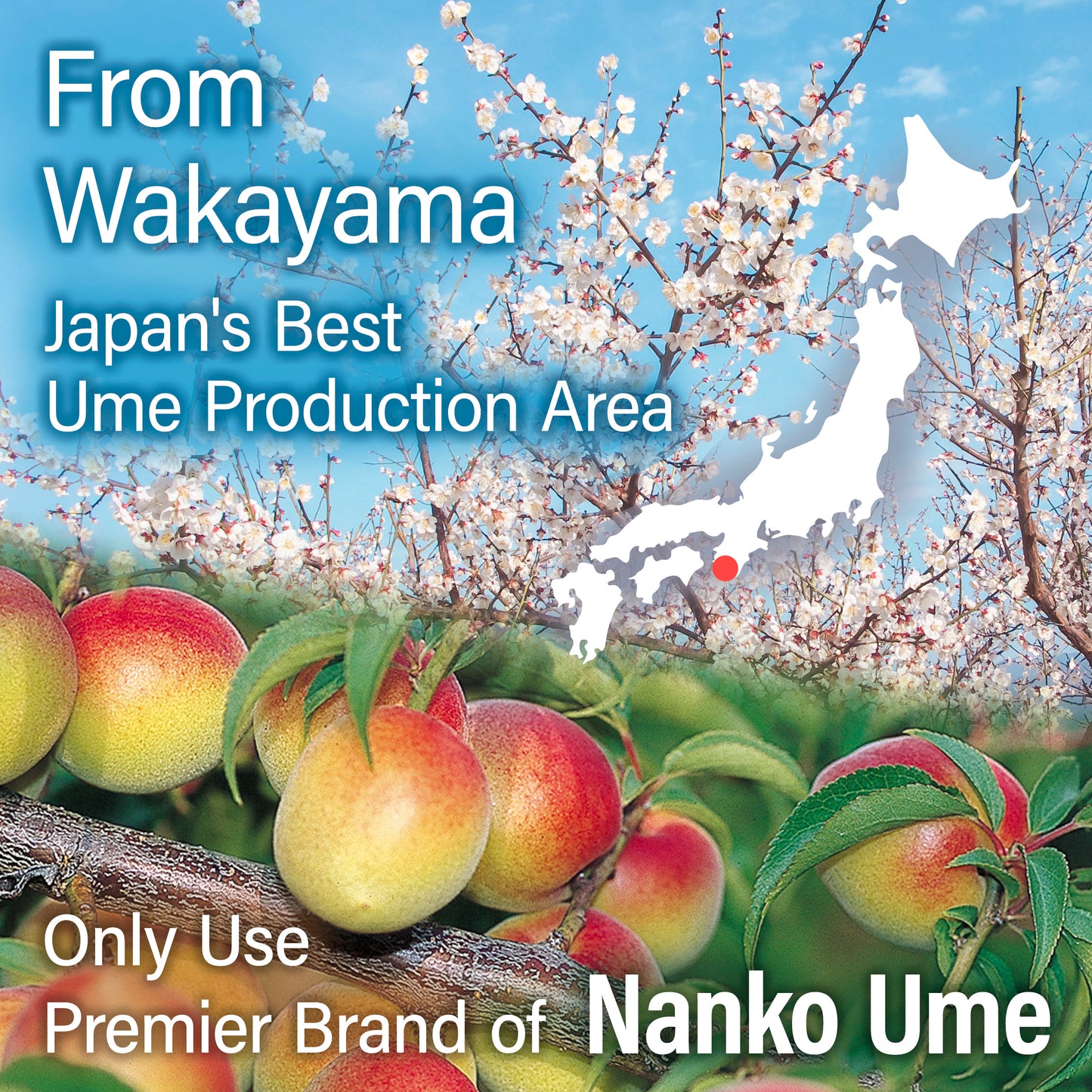 Umeboshi 180g(6.35oz) - YAMASAN KYOTOUJI
