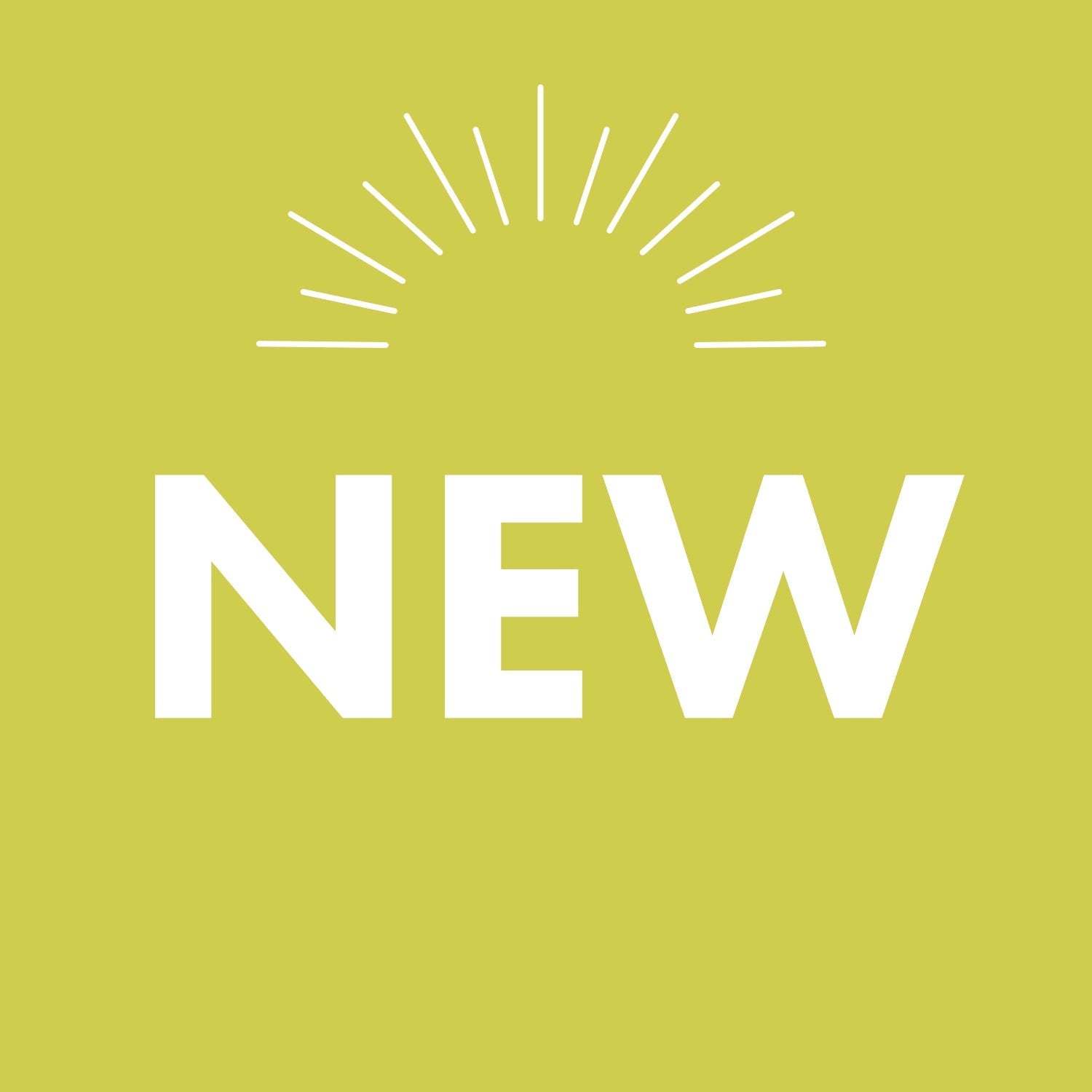 Discover Our Newly Uploaded Products!