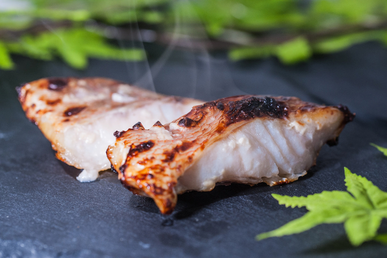 Why Japanese Chefs Use Koji: The Secret Behind Natural Umami
