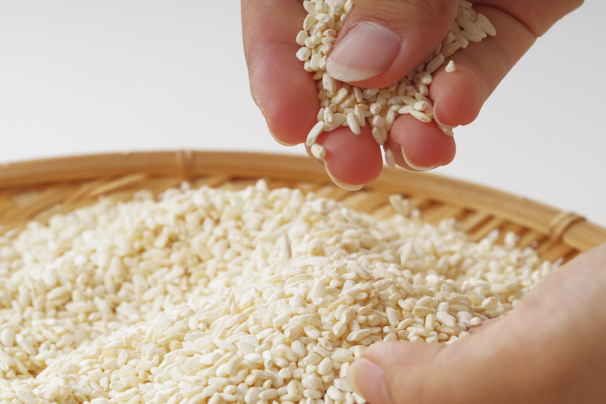 What Is Koji? Japan’s Traditional Fermentation Secret Explained
