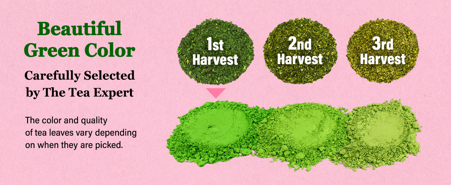 Understanding YAMASAN Organic Matcha Grades