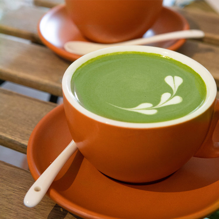 Matcha Powder vs Hojicha Powder: What’s the Difference?