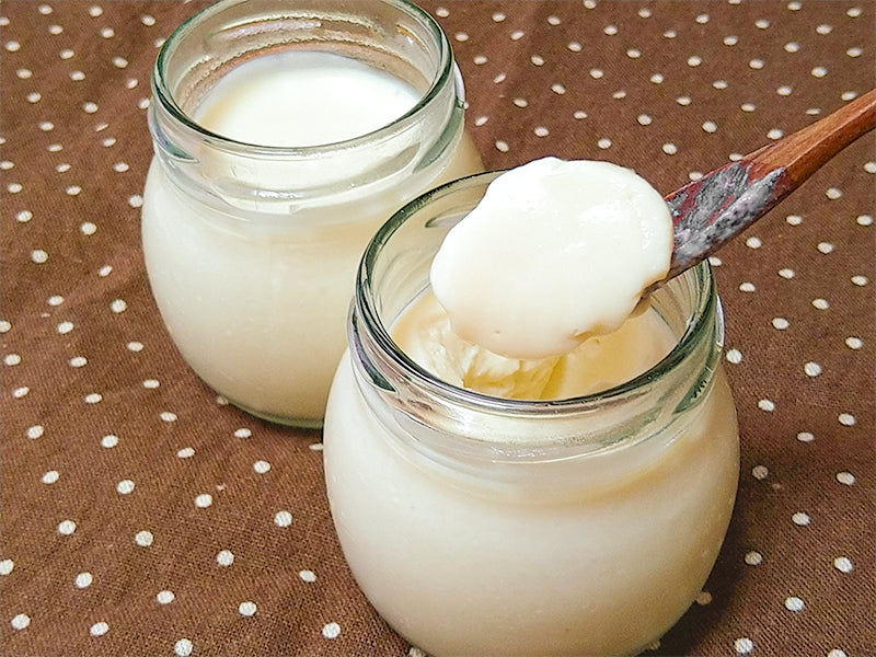 Yuzu Yogurt Bavarian Cream