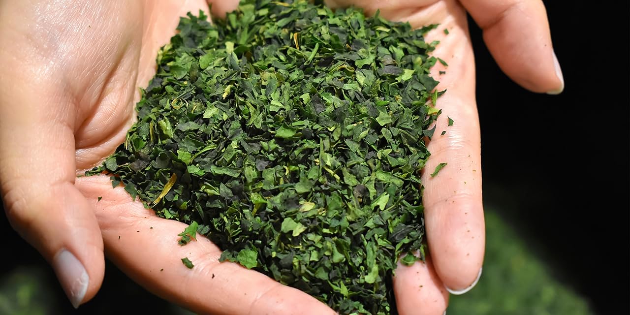 Green Tea-Loose Leaf Tea