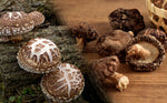 Shiitake Mushroom Umami Powder 40g(1.41oz) - YAMASAN KYOTOUJI
