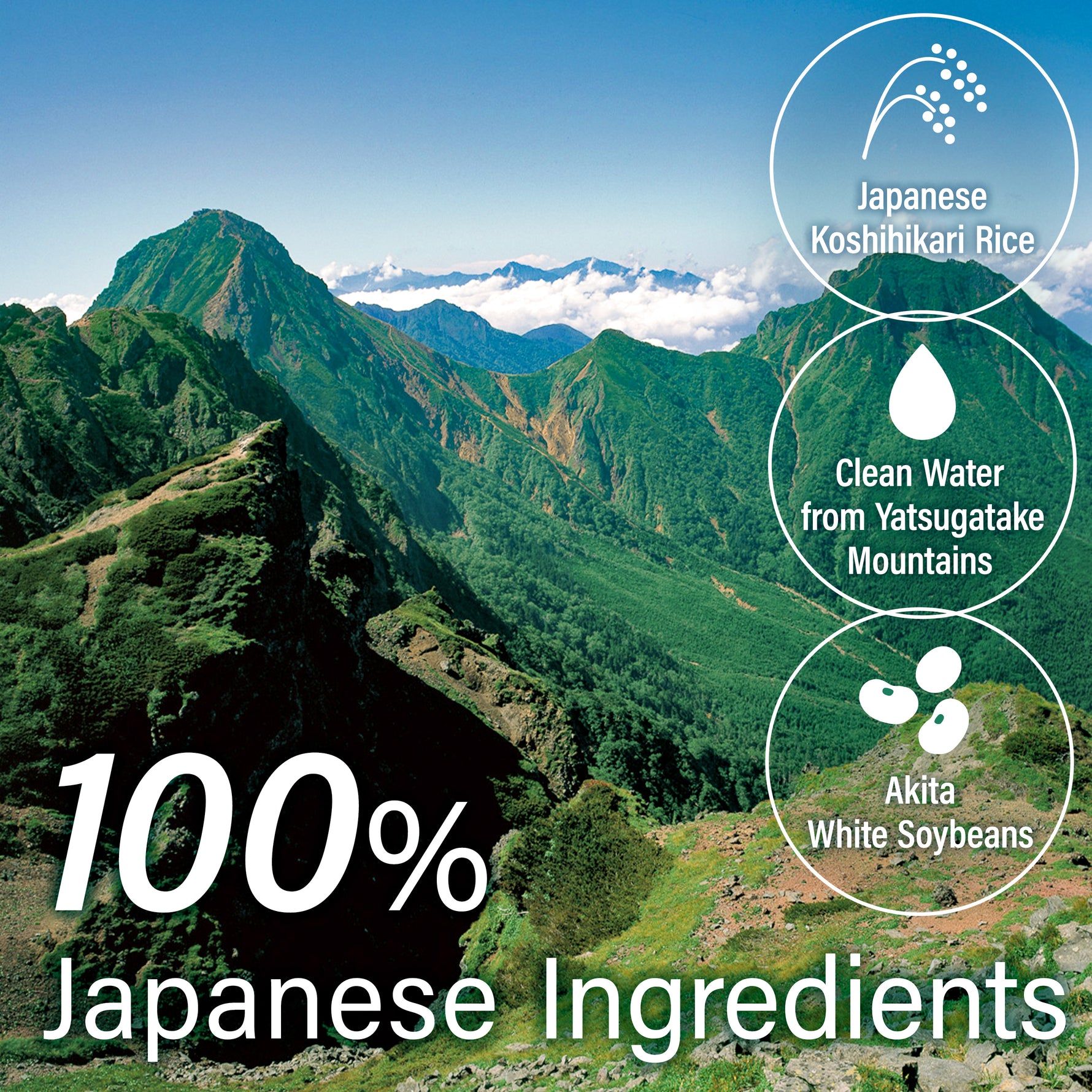 Miso Paste Malted Rice 300g(10.58oz) - YAMASAN KYOTOUJI
