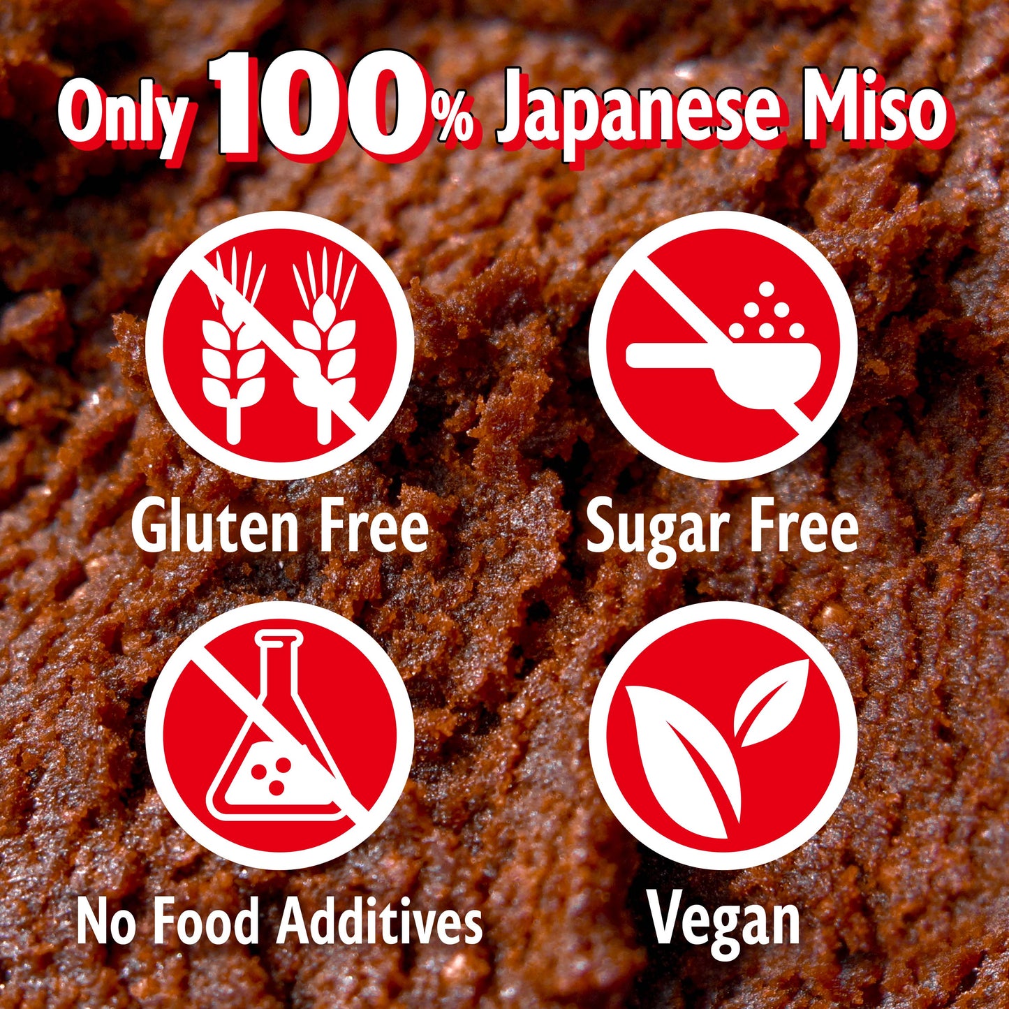 Japanese Dry Red Miso Seasoning, Freeze-Dried Red Miso Powder, Rich Flavor and Umami, No Additives, Vegan, Delicious Choice for Various Foods, Made in Japan 90g(3.17oz)