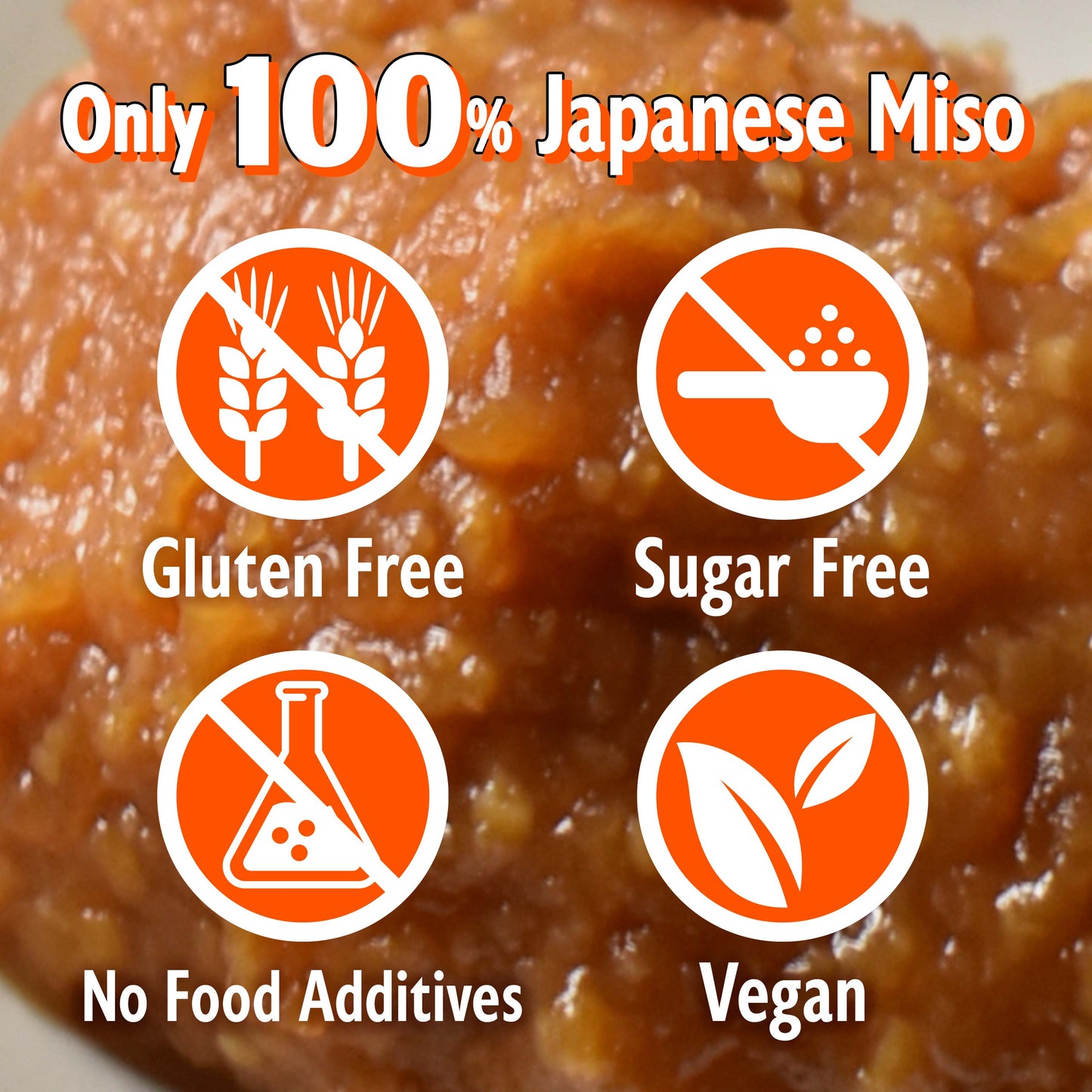 Japanese Dry Miso Seasoning, Freeze-Dried Miso Powder, No Additives, Vegan, Delicious Flavor for Various Foods, Made in Japan 100g(3.52oz)