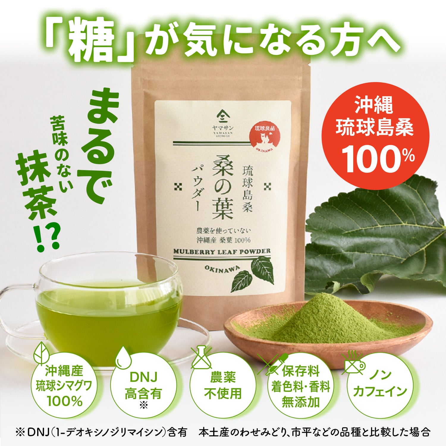 Mulberry Leaf Powder 100g