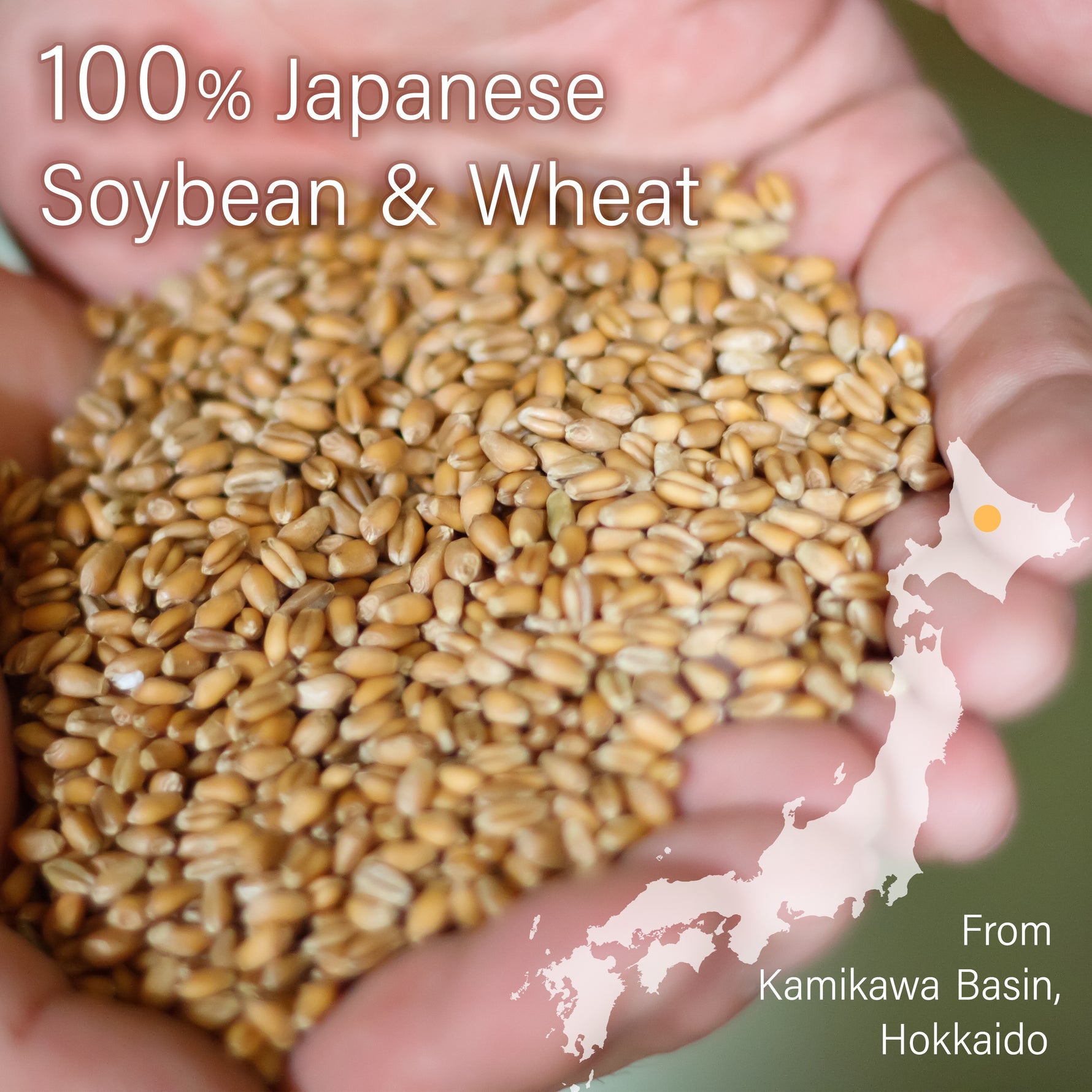Organic Soy Sauce 300ml(10.13fl oz) - YAMASAN KYOTOUJI