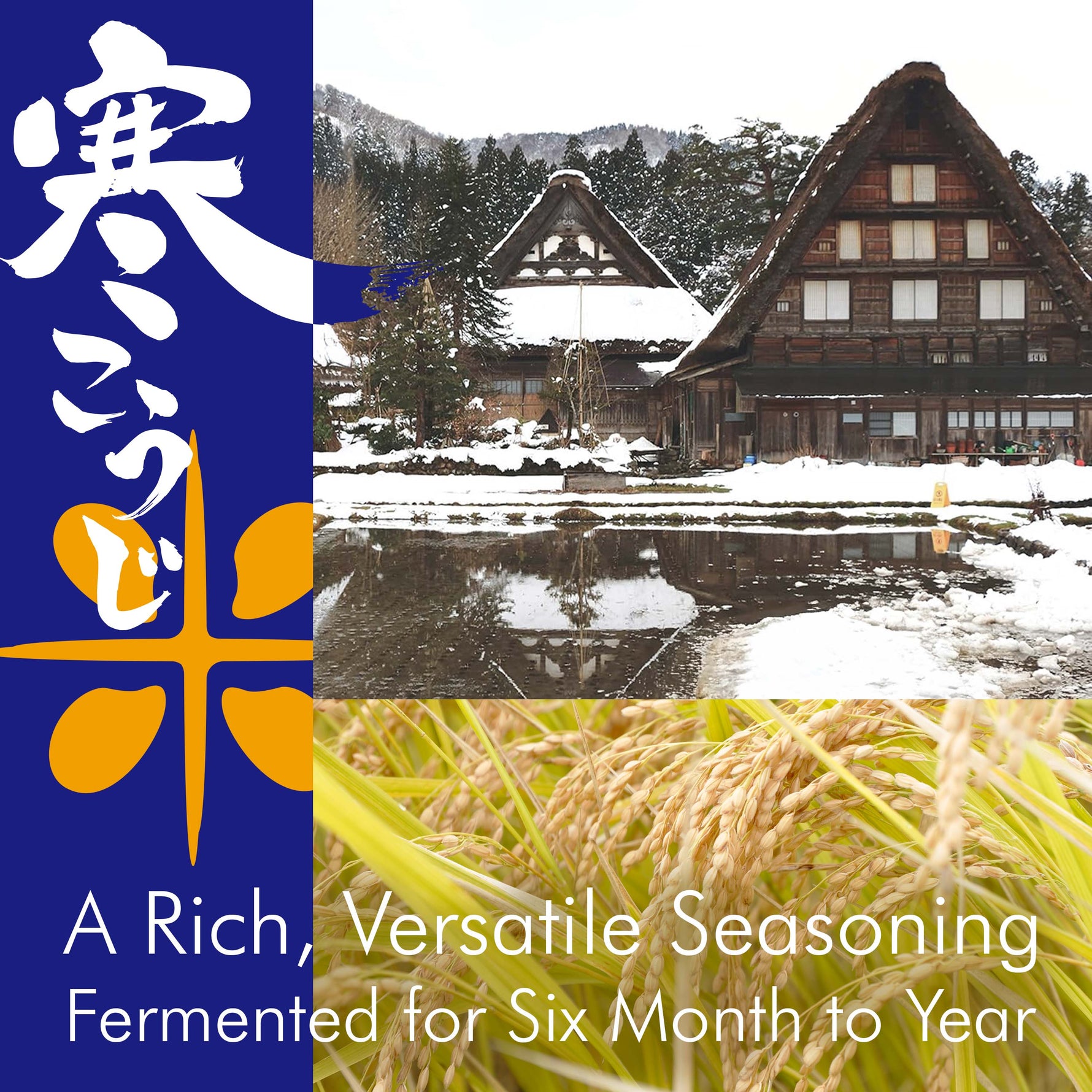 Umami seasoning of rice paste KOJI 350g(12.3oz) - YAMASAN KYOTOUJI