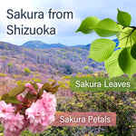 Sakura Floral Green Tea with Sakura petals 80g(2.82) - YAMASAN KYOTOUJI