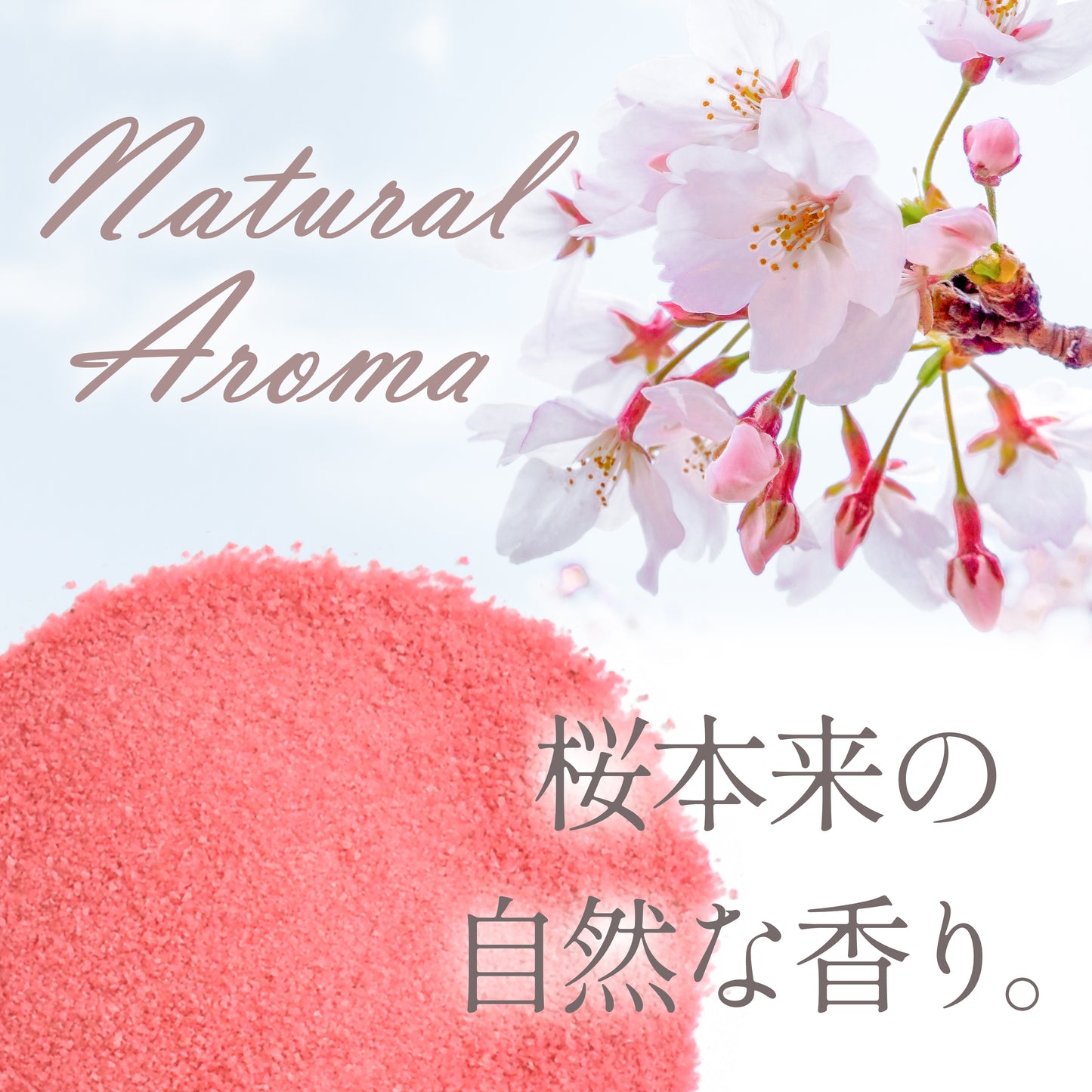 Sakura Cherry Blossom Powder - Japanese Drinks, Spring Mix, Japanese Food, 1.4oz (40g)