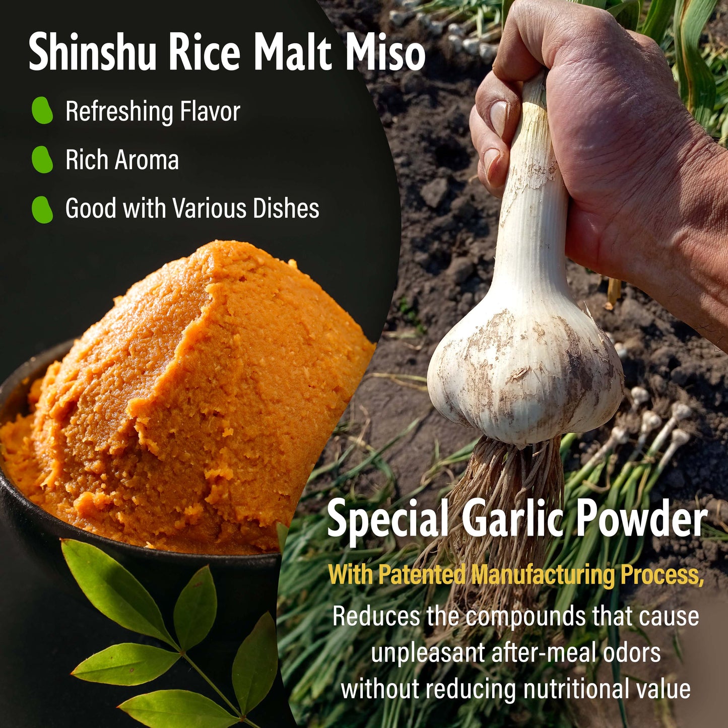 Japanese Dry Garlic Miso Seasoning, Freeze-Dried Miso Powder Mixed With Garlic Powder, Rich Aroma and Umami, No Additives, Vegan, Delicious Choice for Various Foods, Made in Japan 90g(3.17oz)