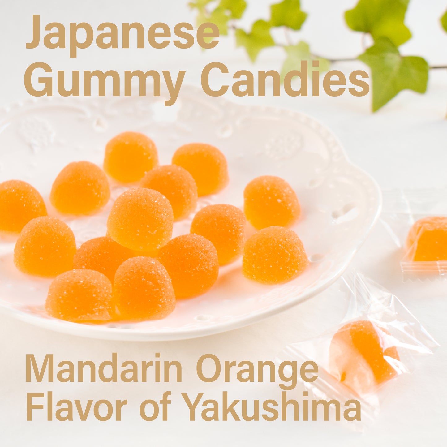 Japanese Candy - Mandarin Orange Flavor of Yakushima, Individually Wrapped, No Chemical Seasoning, Gluten and Fat Free Sweets (4.9OZ)