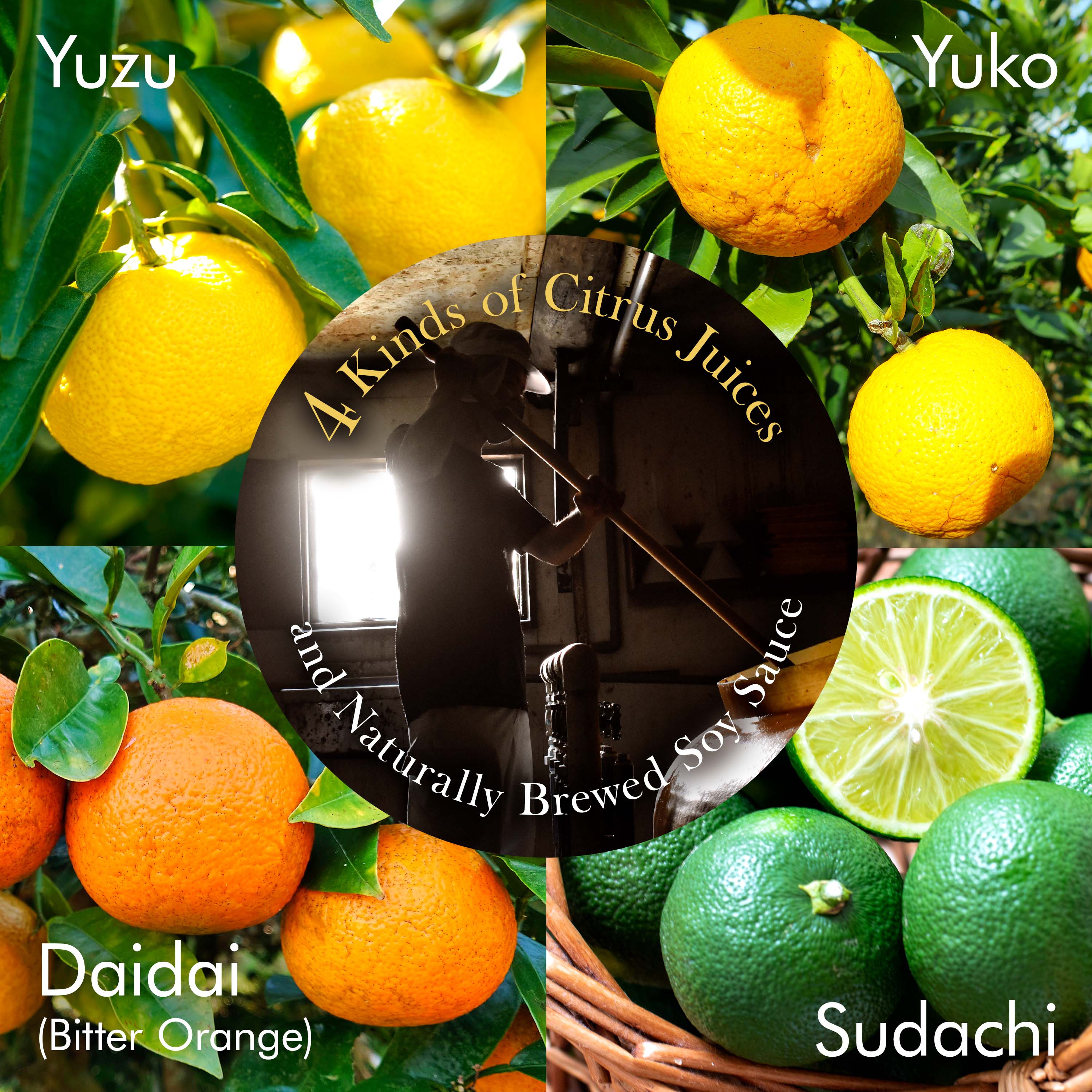 Ponzu Sauce (Yuzu Blend) 300ml(10.14floz) – YAMASAN KYOTO UJI