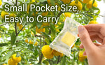 Yuzu Mochi Candy 300g(10.58oz) - YAMASAN KYOTOUJI