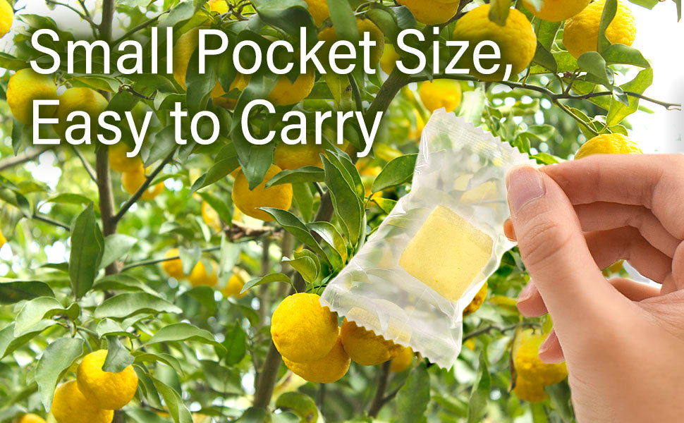 Yuzu Mochi Candy 300g(10.58oz) - YAMASAN KYOTOUJI