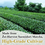 Pure Matcha Paste 100g(3.52oz) - YAMASAN KYOTOUJI