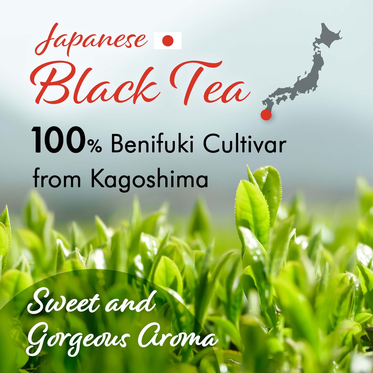 Sakura Black Tea Loose Leaf (80g) - Blending Benifuki and Japanese Sakura Cherry Blossom Leaves, Floral and Refreshing Wakocha