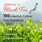 Sakura Black Tea (Tea Bag) 3gx15bags - YAMASAN KYOTOUJI