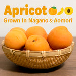 Jelly Fruit Mochi (Apricot) 300g(10.58oz) - YAMASAN KYOTOUJI