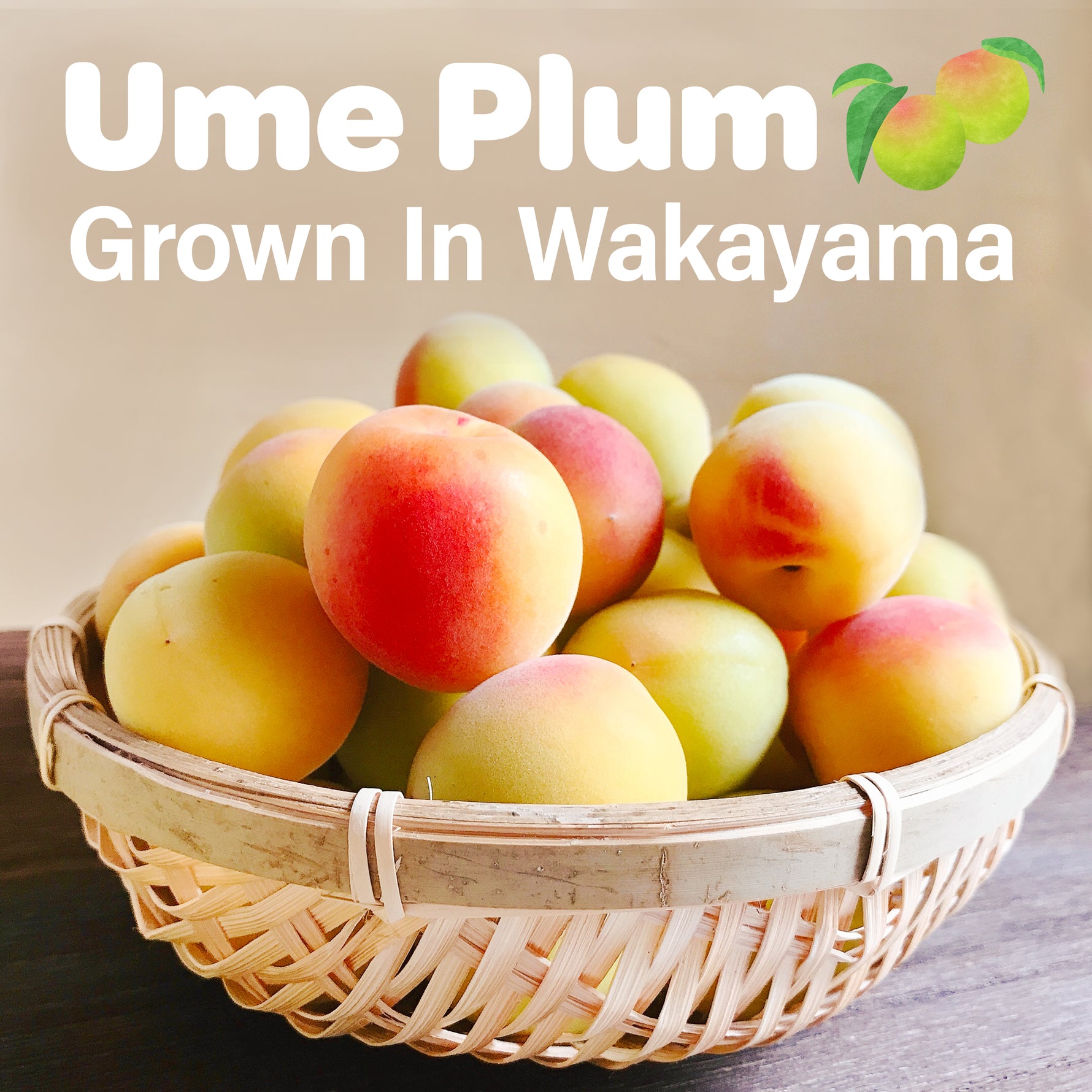 Jelly Fruit Mochi (Ume Plum) 300g(10.58oz) - YAMASAN KYOTOUJI