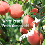 Mochi Candy (Momo White Peach Flavor) 300g(10.58oz) - YAMASAN KYOTOUJI