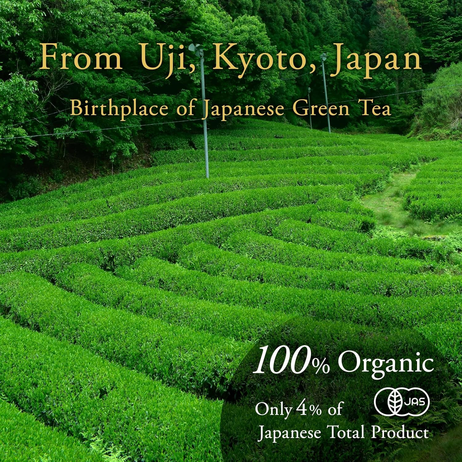 Organic Hojicha Powder 100g(3.5oz) - YAMASAN KYOTOUJI