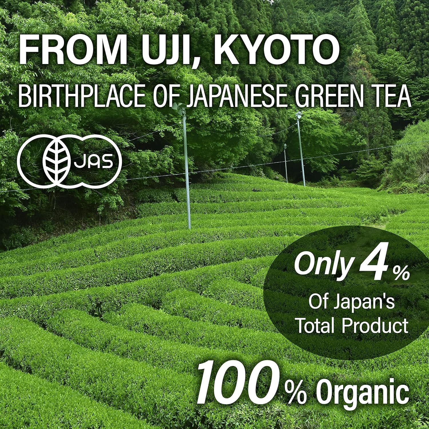 Sencha Green Tea (Loose Leaf) - YAMASAN KYOTOUJI