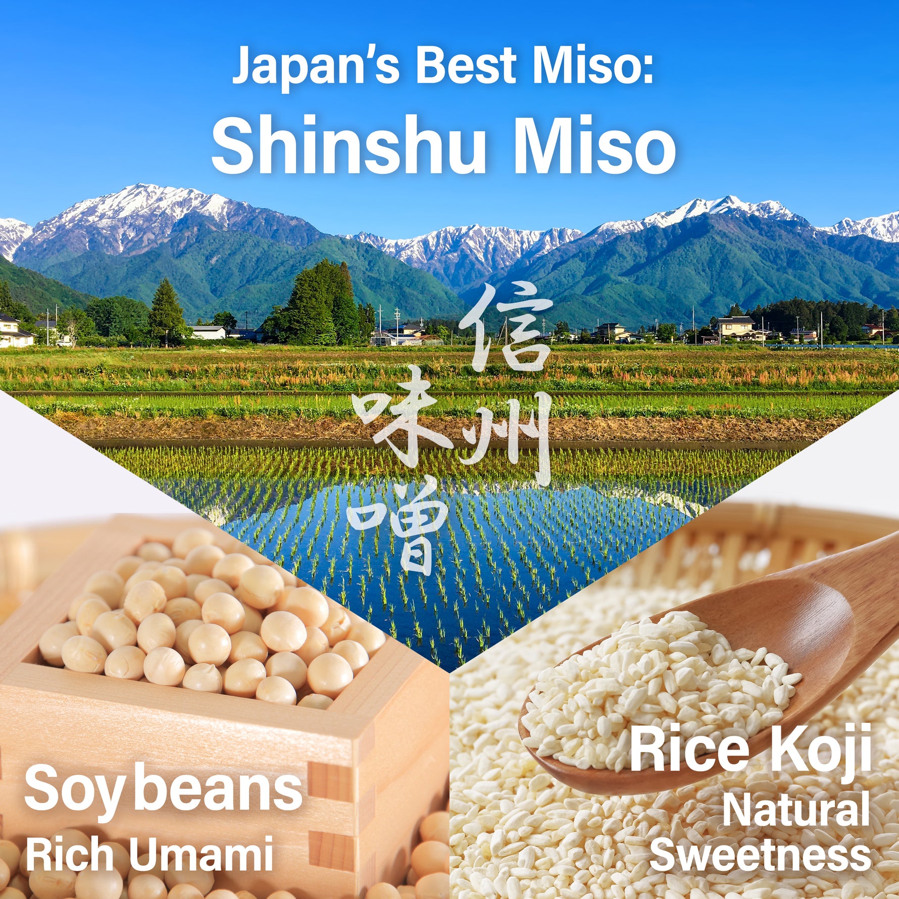 Japanese seasoning Shinshu miso soybeans Rice koji umami