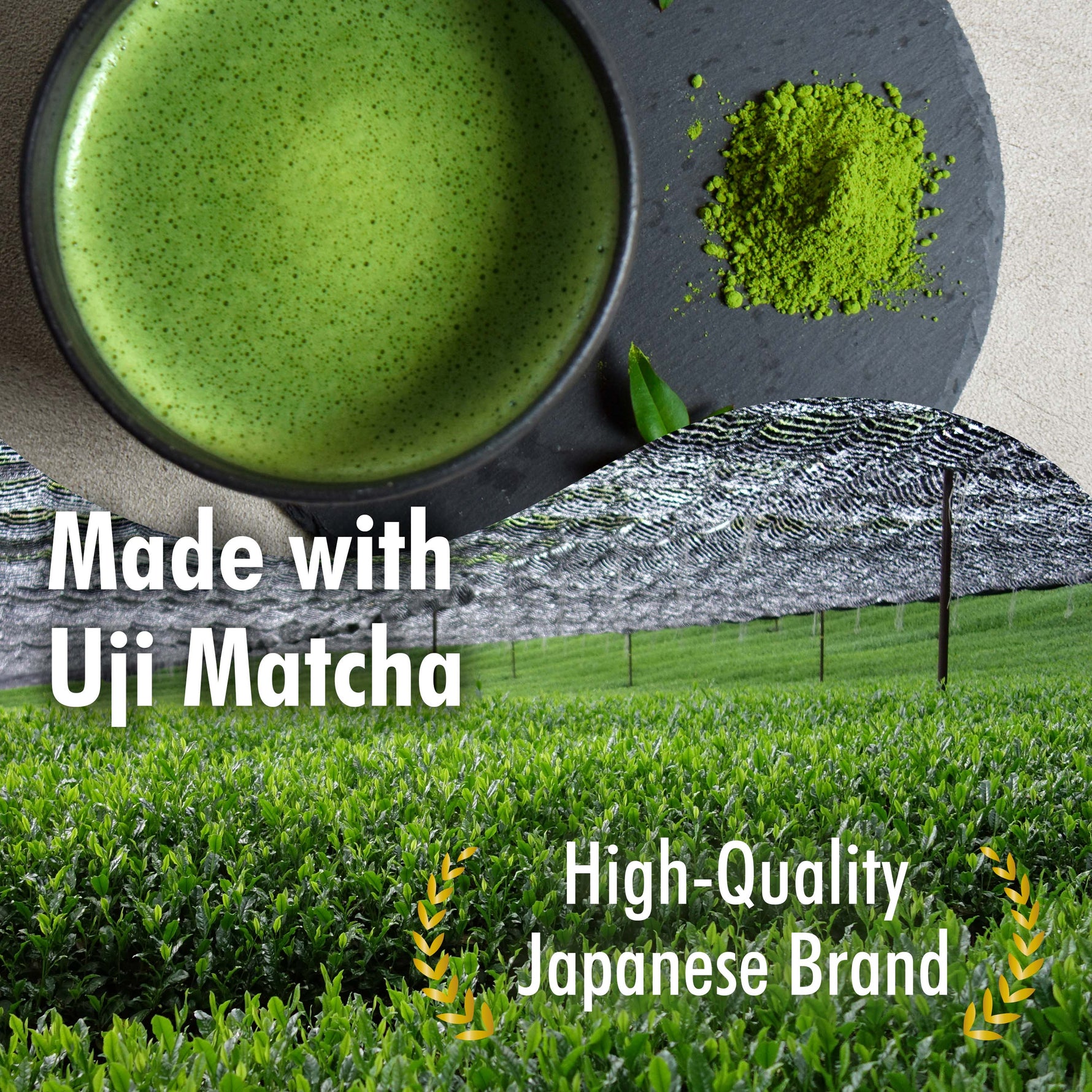 Dorayaki (Matcha Flavor) 184g(6.49oz) - YAMASAN KYOTOUJI