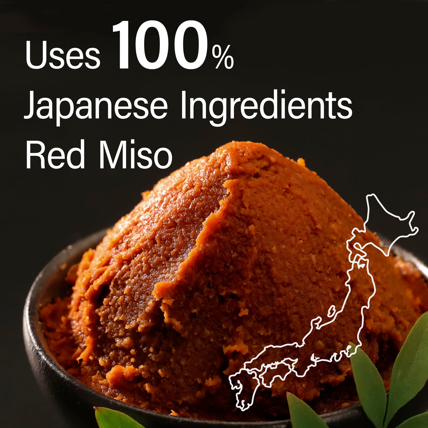 Japanese Furikake Seasoning, Rich Red Miso with Dried Bonito Flakes and Black Sesame (45g), Made in Japan