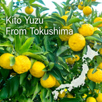 Yuzu Mochi Candy 300g(10.58oz) - YAMASAN KYOTOUJI