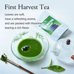 Ceremonial Grade Uji Matcha ASAGAO 50g(1.76oz) - Ceremonial Grade Uji Matcha