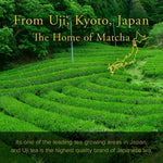 Ceremonial Grade Uji Matcha ASAGAO 50g(1.76oz) - Ceremonial Grade Uji Matcha