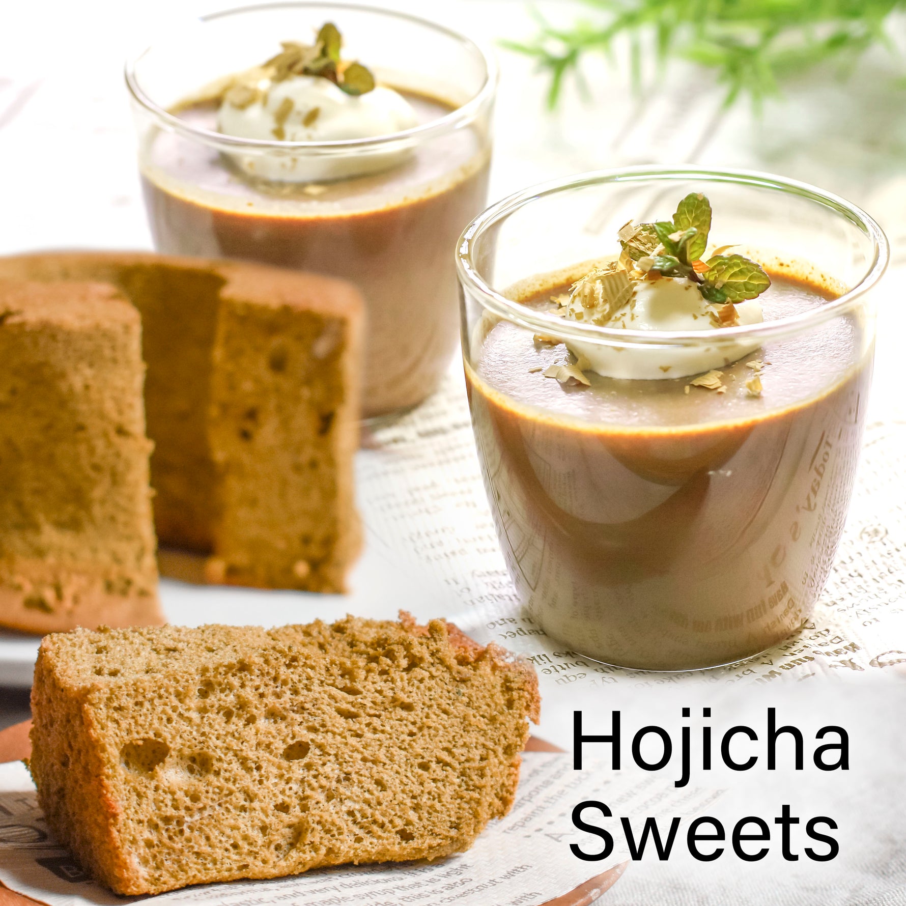 Organic Hojicha Powder 100g(3.5oz) - YAMASAN KYOTOUJI