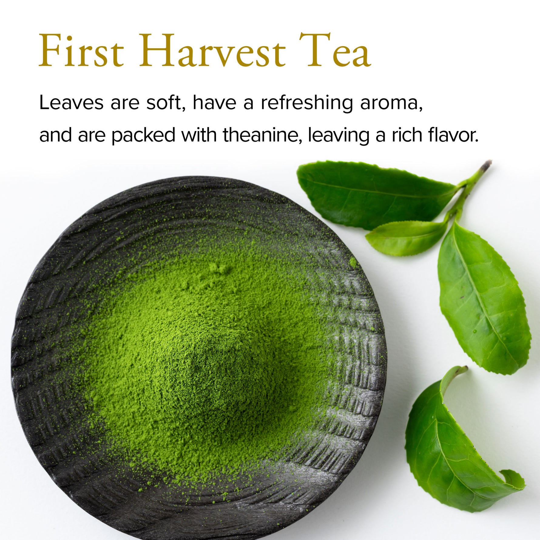 Green tea powder in a black bowl with green leaves on a white background, featuring text about 'First Harvest Tea'.