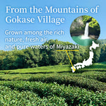 Organic Black Tea (Loose Leaf) 100g(3.5oz) YAMASAN KYOTOUJI