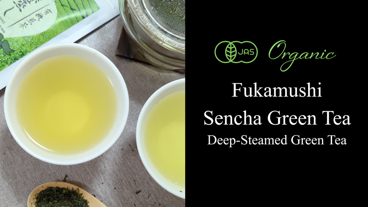 Fukamushi Green Tea (Loose Leaf) 80g(2.82) – YAMASAN KYOTOUJI