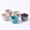 Japanese Artisan Guinomi Collection-Kousai Sake Cup Set of 5 YAMASAN KYOTOUJI