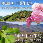 Collage of Tanzawa Mountains, Kanagawa and Izu Peninsula, Shizuoka with cherry blossoms and green leaves.