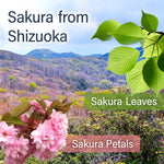 Collage of cherry blossoms, leaves, and a mountainous landscape with 'Sakura from Shizuoka' text.