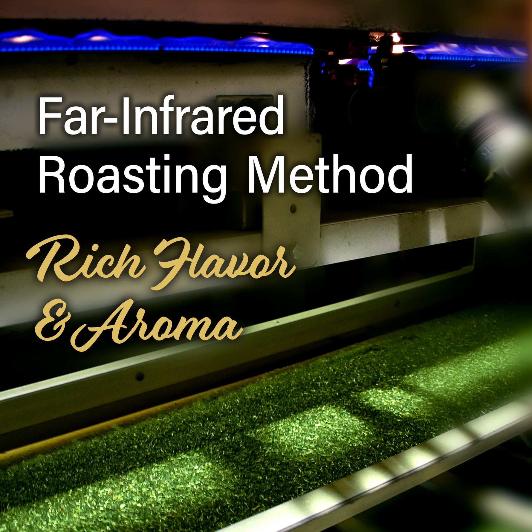 Sencha Green Tea (Loose Leaf)