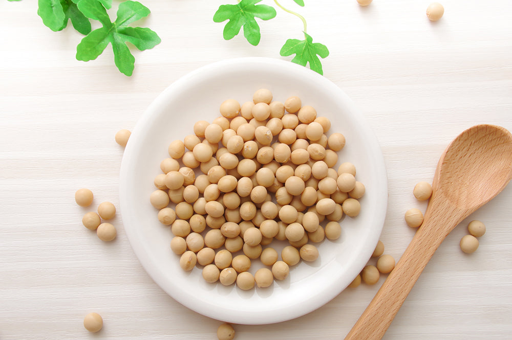 White bowl filled with soybeans on a light wooden surface with a wooden spoon and green leaves.